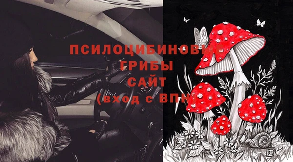 шишки Балахна