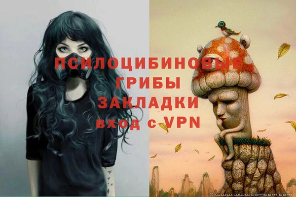 шишки Балахна