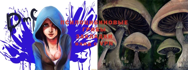 шишки Балахна