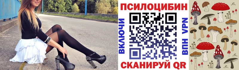 Галлюциногенные грибы Psilocybe  Новотитаровская 